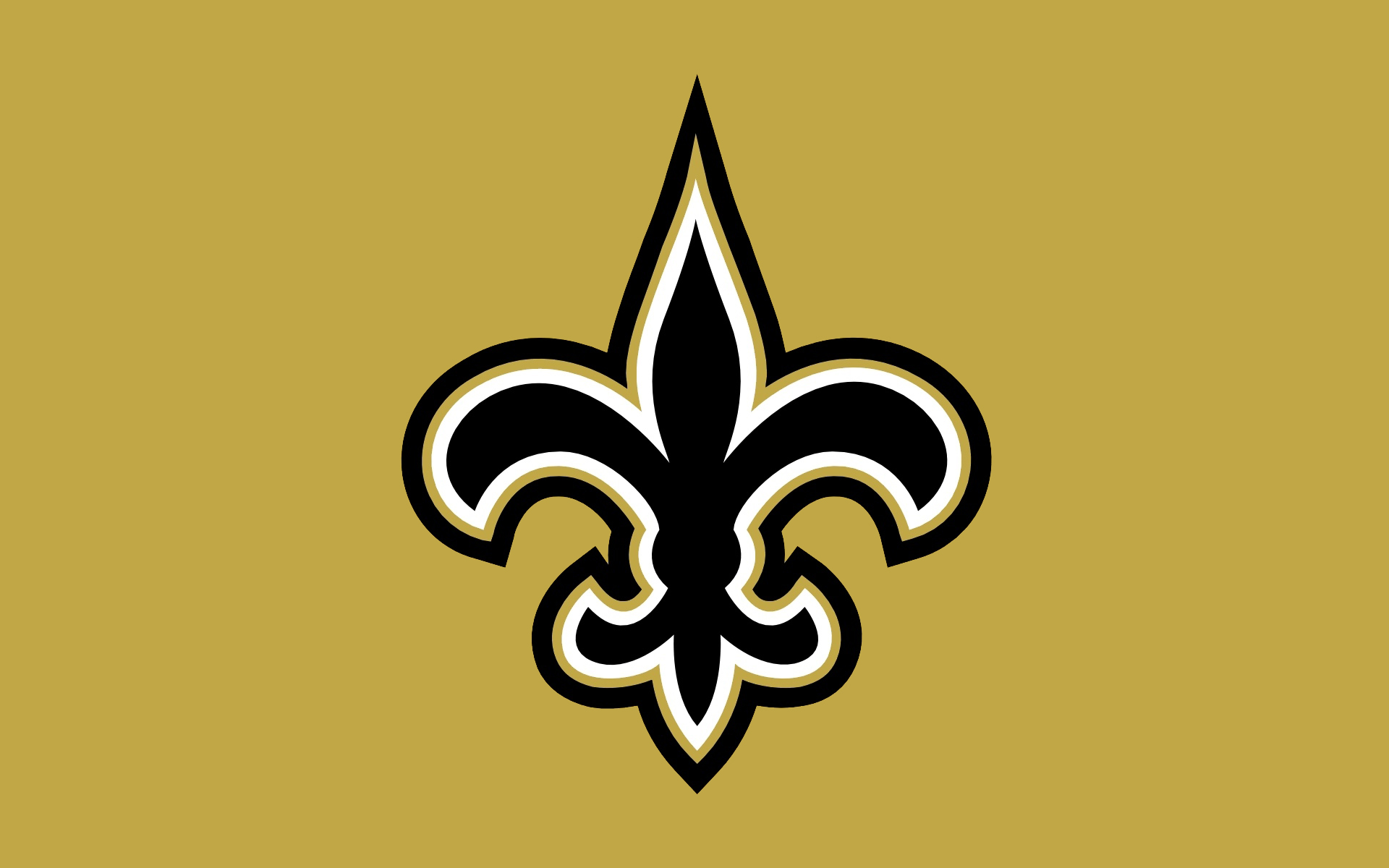 New Orleans Saints Pic
