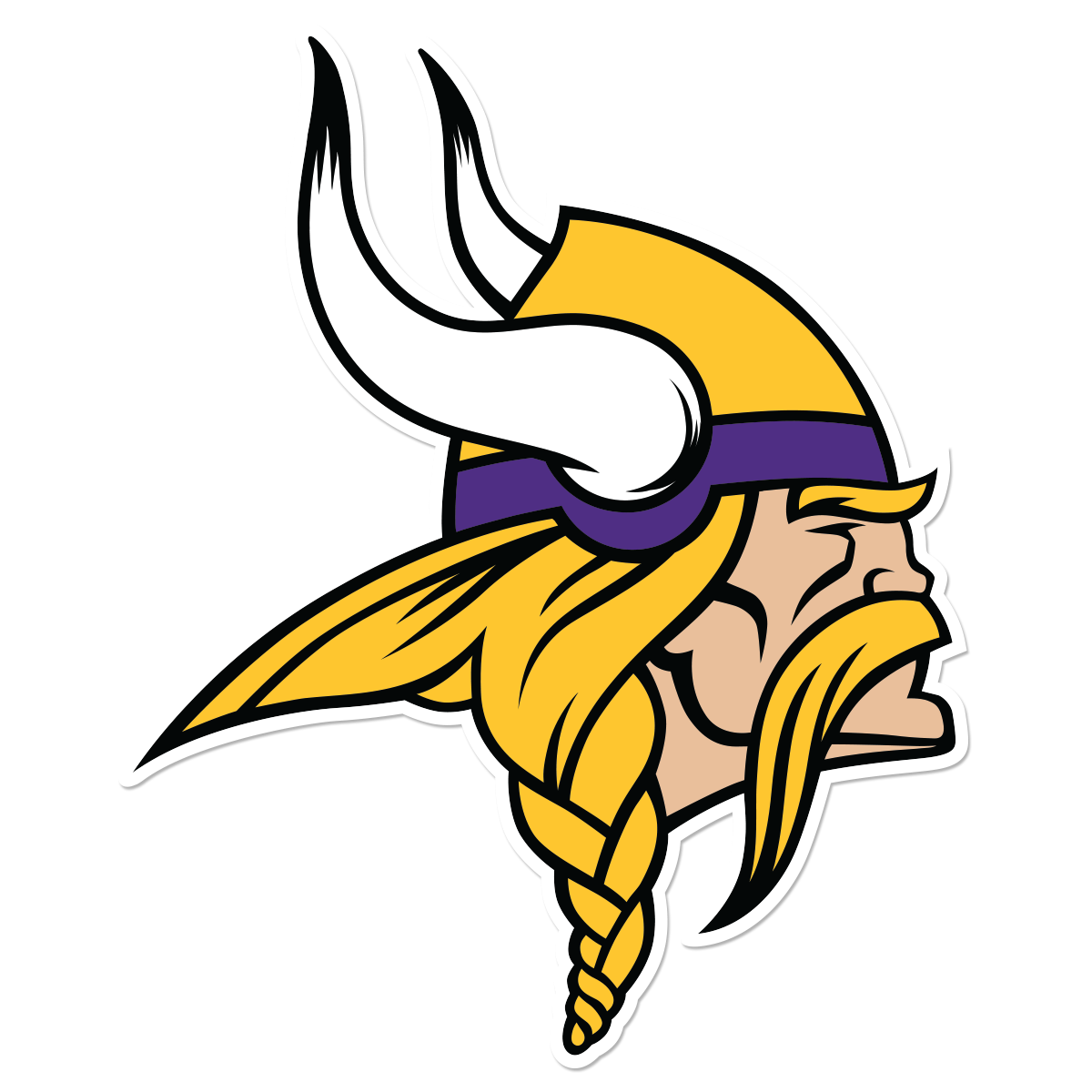Minnesota Vikings Pic