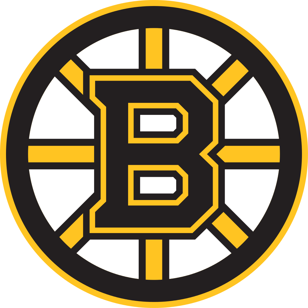 Boston Bruins Pic