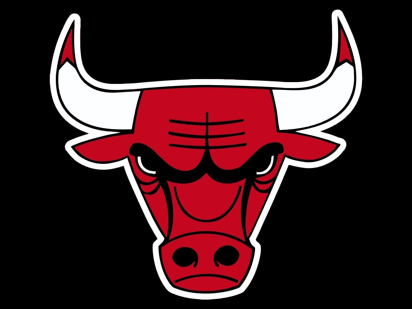 Chicago Bulls Pic