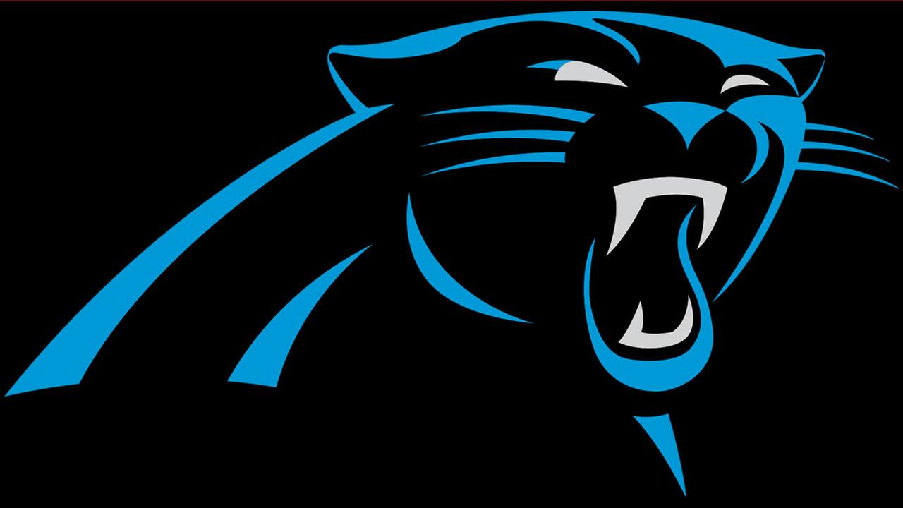 Carolina Panthers Pic