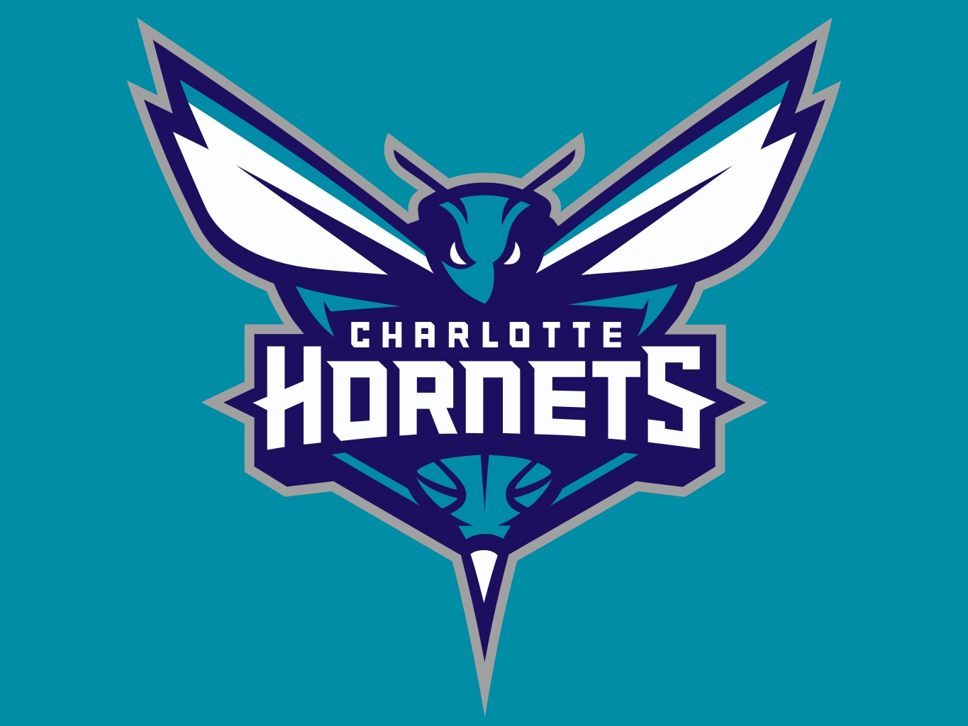 Charlotte Hornets Pic